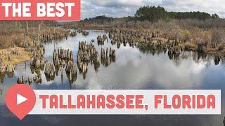 Best Things to Do in Tallahassee, Florida