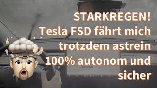 Tesla FSD (Supervised) fährt mich 100% sicher durch starken REGEN – als ob die Sonne scheint. Krass!