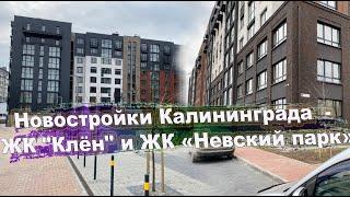 Новостройки Калининграда  - ЖК "Клён" и ЖК «Невский парк»