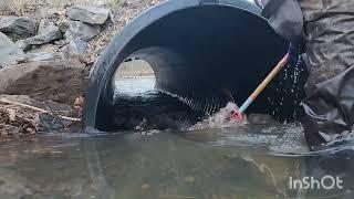 Highway 31 Beavers have returned mega flooding