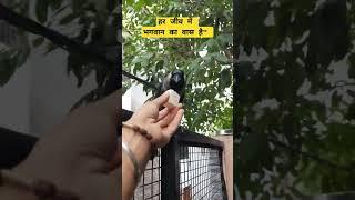 jeev seva param dharm#Premanand ji maharaj bhi yahi kehtai hai
