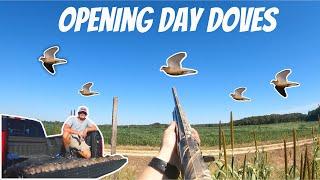 Maryland Opening Day Dove Hunt 2022! (LIMITED OUT)