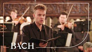 Bach - Cantata Weinen, Klagen, Sorgen, Zagen BWV 12 - Jacobs | Netherlands Bach Society