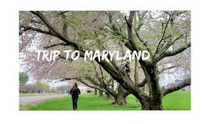 Trip to Maryland | Social Distance Date |  Appreciating Simple Things | Appreciating Life