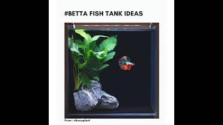 best betta Fish Tank ideas.