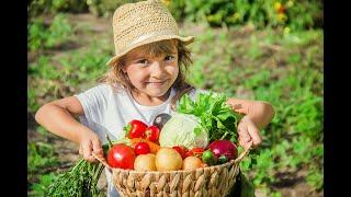 Amalfi Heaven Gardens - Cooking Class in the Amalfi Coast