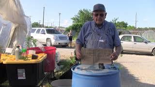 Hydroponic Growing In A Barrel Ep 86