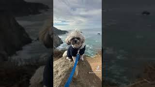 Bixby Creek Bridge, Big Sur Coast of California, United States. Pet-friendly!