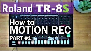 Roland TR-8S Guide / How to Motion Record -part 1