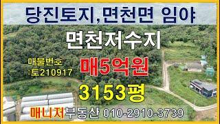 (토210917)당진토지매매, 면천저수지 인접 낮은 임야 3153평