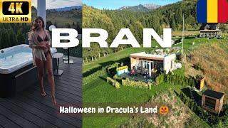 Jacuzzi Hot Tub Cabin in Transylvania | BRAN, BRASOV - Amazing spa resort in Bucegi Mountains 