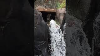 kalathgiri  falls, Chikmagalur , KARNATAKA