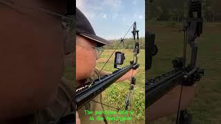 Steel Ball Compound Bow Kit, Dual Purpose Bow