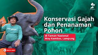 Perjalanan ke Taman Nasional Way Kambas - Konservasi Gajah dan Penanaman Pohon