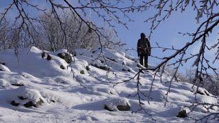 To Tri kopce | Little Carpathians, SK - Towards the Nicely Frozen Ridge in Chilly Conditions