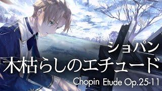 【高音質ピアノ演奏】Chopin: Etudes Op.25 No.11 ショパン「木枯らし」／潤音ノクト（Urune Nokuto）