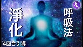 淨化呼吸法，12分鐘引導 | 排毒，提升免疫力 | 冰人Wim Hof 冰人呼吸法