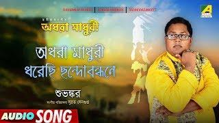 Adhara Madhuri Dhorechhi | Rabindra Sangeet | Audio Song | Subhankar Mondal