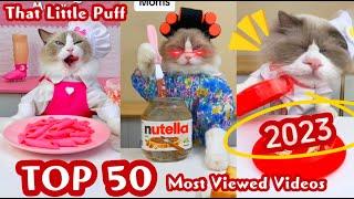 Top 50 Most Viewed Videos 2023 | That Little Puff