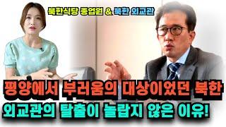 평양에서 부러움의 대상이었던 북한 외교관의 탈북을 접한 평양여자의 반응!