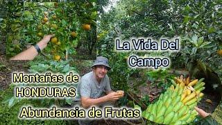 La Vida del Campo, Donde La Tierra Produce, Montañas de Honduras.