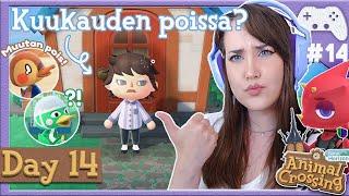 Näin käy jos oot kuukauden pelaamatta..  | ACNH Let's Play #14