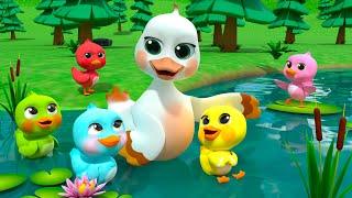 Learn Colors with 5 Rainbow Ducks | Newborn Baby Songs & Nursery Rhymes