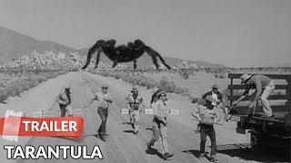 Tarantula (1955) Trailer | John Agar | Mara Corday