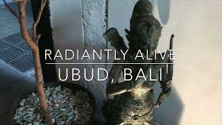 Yoga Studio Tour | Radiantly Alive, Ubud, Bali | Adventure Yoga with Stephen Ewashkiw