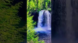 Soothing sounds #stressrelief #relax #relaxingmusic #soothingsounds #ambientsounds