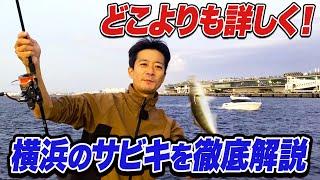 【サビキ釣り講座 -赤レンガ倉庫編-】横浜のサビキを徹底解説！カゴの種類や位置で釣れる魚が激変する理由と超お薦め仕掛け紹介