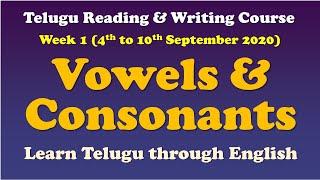 Telugu Reading & Writing Course | Week 1 | Vowels & Consonants | Learn Telugu through English