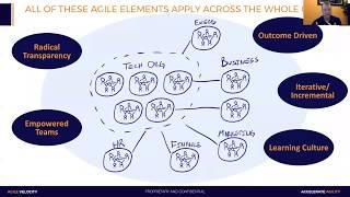 Organizational Agility: Take Agile Beyond the Team