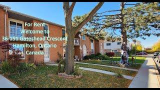 House For Rent - Hamilton, Ontario, Canada