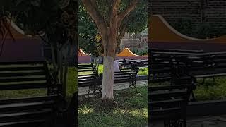 Desde Guaymango 