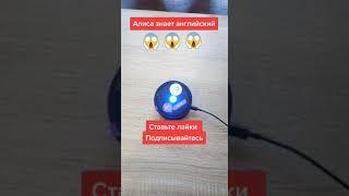 Алиса знает английский