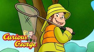 Who Will Catch the Fish?  Curious George  Kids Cartoon  Kids Movies