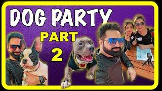 Dog Party pe Brody ki Fight ho gai Doberman se | American Bully Fight | Harpreet SDC