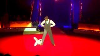 Amazing Foxterrier performs lot´s of tricks (LouLou&Rodrigue)