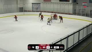 SCHSHL JV Hockey | Pat Med vs Kings Park Commack