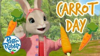 @OfficialPeterRabbit- On a CARROT Hunt!  | Carrot Day Special | Cartoons for Kids