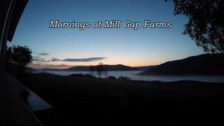 Mornings at Mill Gap Farms