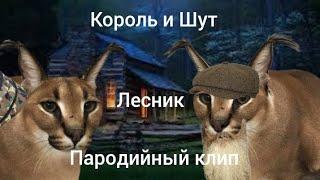 Король и Шут - Лесник | пародийный клип.