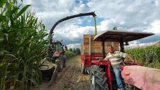 Çelikel 3 Sıralı Silaj Makinesi ile Massey Ferguson 5612 nin Uyumu