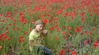 Sasha Danilov  - clarinet  Petite Fleur for  my  daughter  ANNA