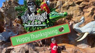 Disney Springs Thanksgiving: Dining at Rainforest Cafe