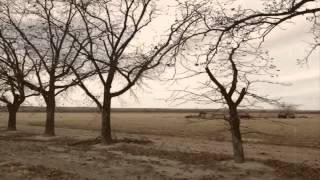 The Legend of Chuggs - Official Trailer 2014