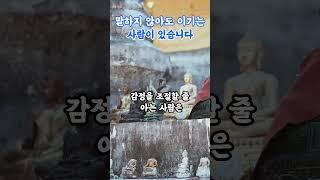 말하지 않아도 이기는 사람 부처님말씀|불교명상|감정조절|마음공부|불교수행|불교명언|마음치유|영적성장|불교오디오북|등불편지
