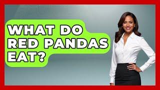 What Do Red Pandas Eat? - The Wild Life Explorer