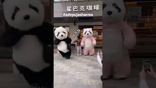 Tukur tukur | Cute Bear Panda #shorts #reels  #youtubeshorts  tukur tukur